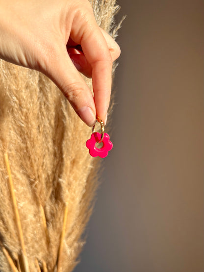 BOX DECOUVERTE de pampilles