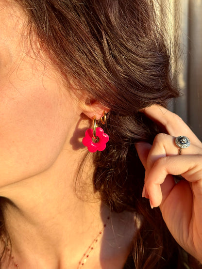 BOX DECOUVERTE de pampilles